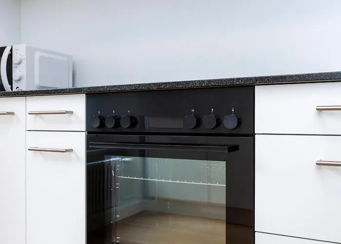 公寓 Kaya 1b 苏黎世